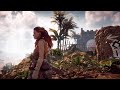 Horizon zero down