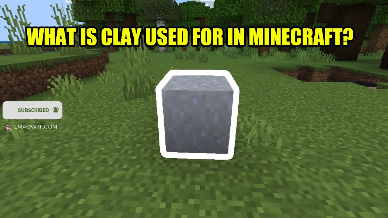 Question: What Is Clay Used For Minecraft - SeniorCare29Share