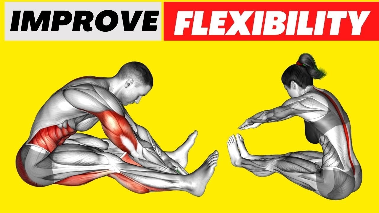 8 Exercises to Improve Your Flexibility - YouTube