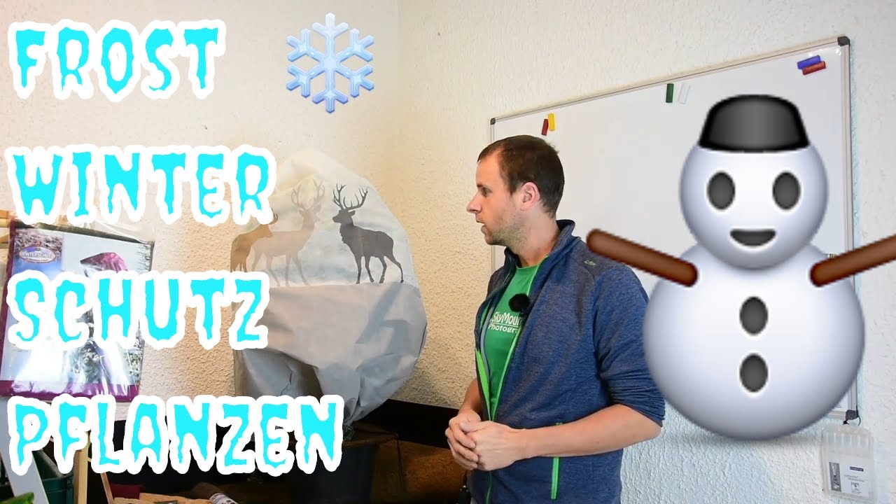 Pflanzen winterfest machen: Winterschutz für Beet und Kübel