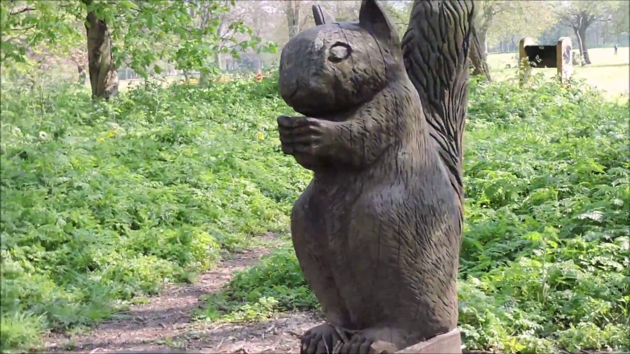 PARK LIFE HALL PARK RUSHDEN YouTube PARK LIFE HALL PARK RUSHDEN YouTube