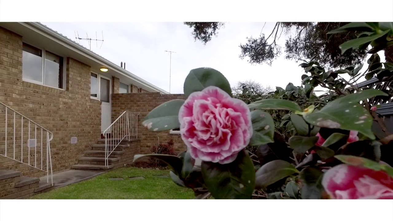 2/53 Torbay Street, Macleod | Brett Schembri & Ashleigh Lawson - Ray White Macleod