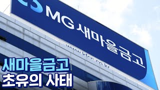 새마을금고 초유의 사태