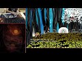 TTYD - Easymode JHS Tutorial