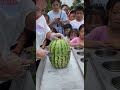中国版コールドストーンアイス（スイカ編3）／Chinese version of Ice cream rolls "Watermelon" #3／中国版的铁板冰淇淋(西瓜版 #3)