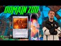 Modern domain zoo