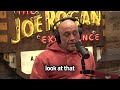 Joe Rogan and Coleman Hughes On Why RFK Jr. Is More Compelling Than Trump Or Biden Mp3 Song