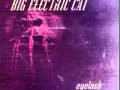 Eyelash - Big Electric Cat