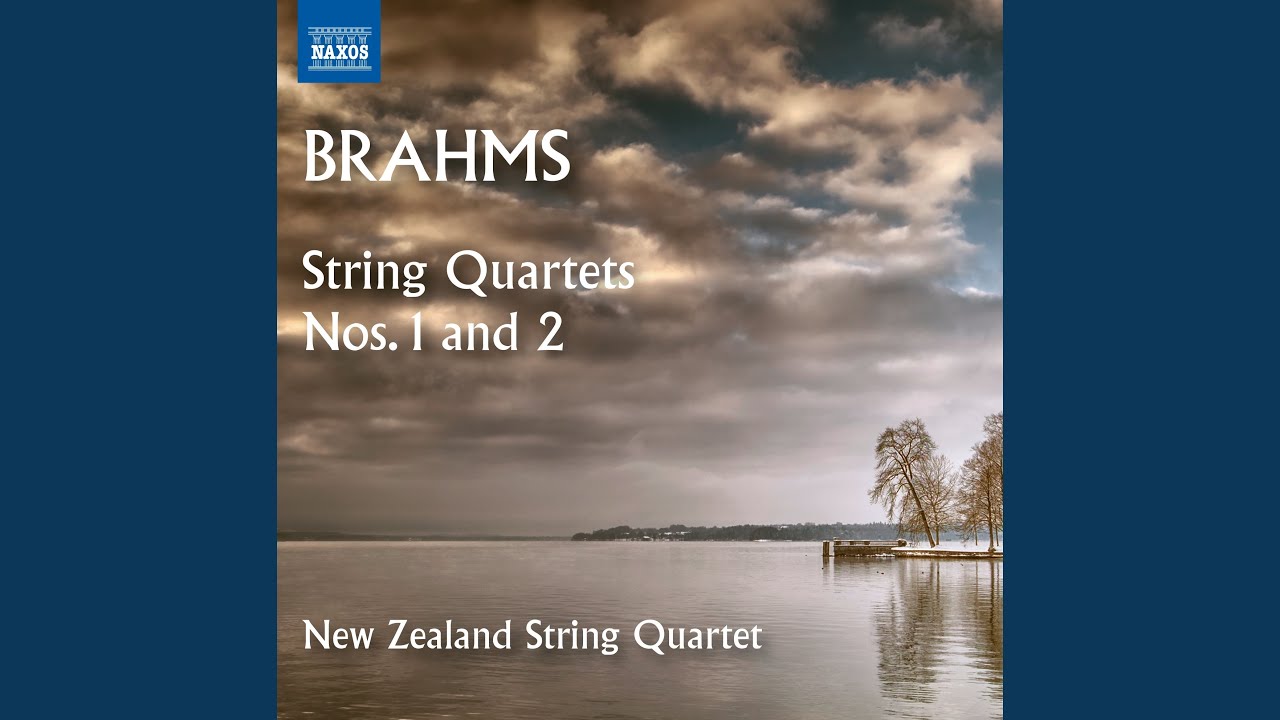 在 YouTube 上观看 String Quartet No. 1 in C Minor, Op. 51 No. 1: I. Allegro