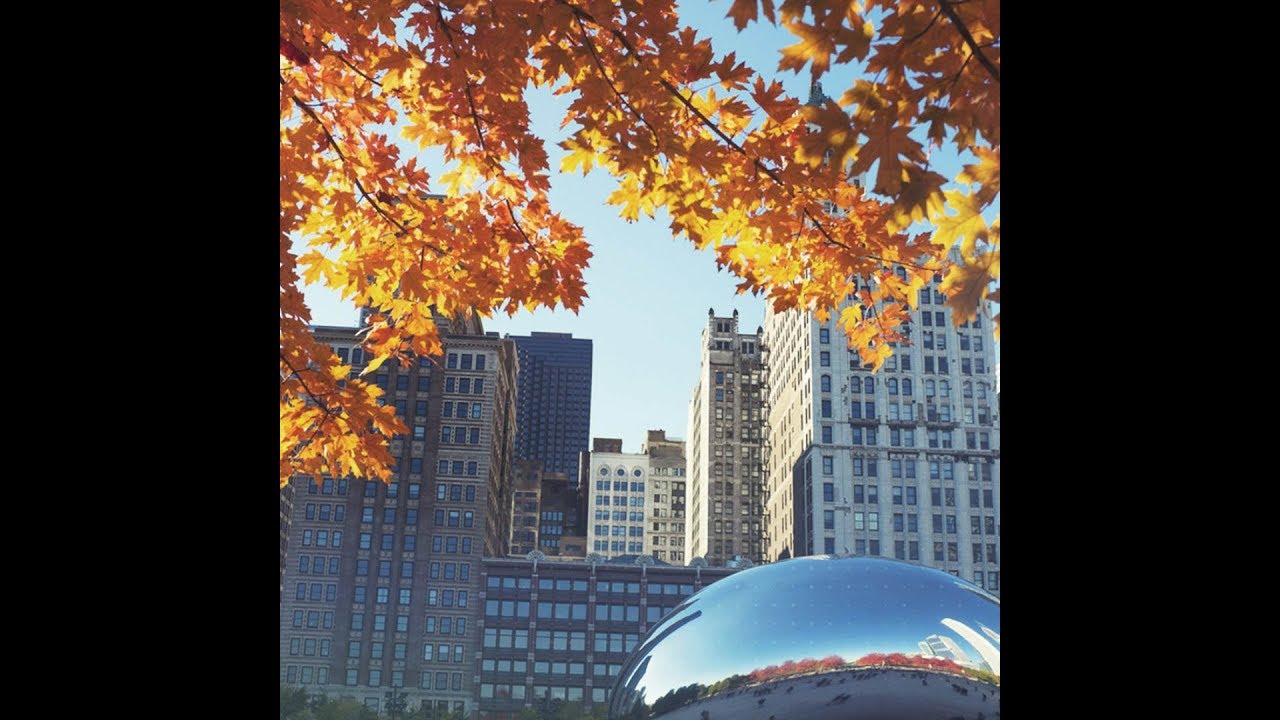Ten Chicago Events to Check Out in October - YouTube