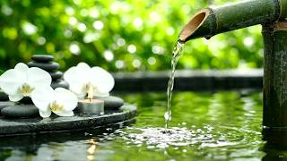 Minimalist Bamboo Fountain — Soft Water Trickle, Minimal Piano Notes and Spa Relaxation Ambience