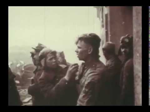Бери шинель, пошли домой