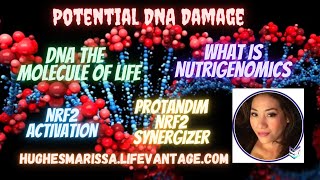 Nrf2 What is it? Dr. Joe McCord Explained