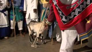 Zola  Ithuna Lendoda