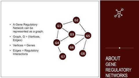 Learning Gene Regulatory Networks Using Bayesian Networks