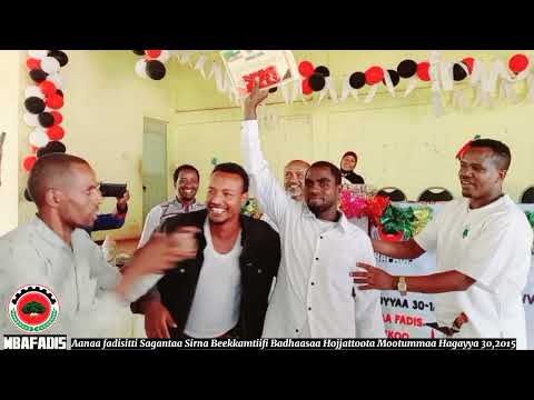 Sirna Beekkamtii Fi Badhaasaa Hojjattoota Mootummaa Aanaa Fadis Hagayya 30 2015