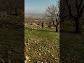تيك توك المشاهير جبل