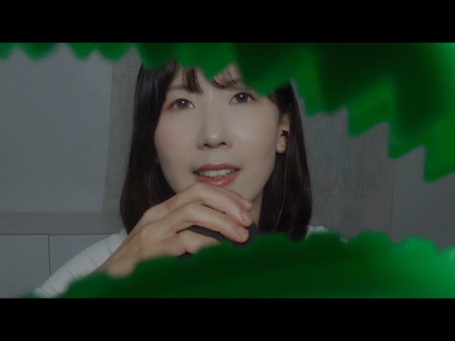 ASMR 딱 집어가지고 올리는 “따크따크” 트리거 특집 | Hair Clipping ASMR