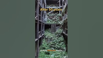 What if Humans disappeared from Earth? #sciencefacts #science #space