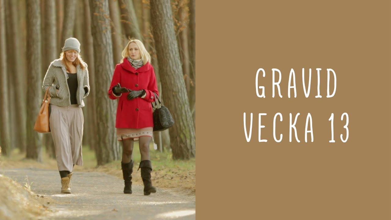 Gravid vecka 13