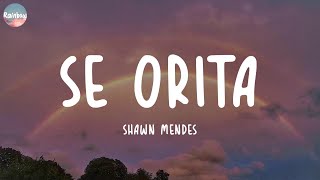 Shawn Mendes - Señorita (Lyrics) | David Guetta, Sia, Ruth B.,...