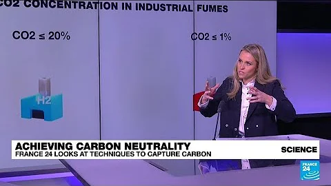 Carbon capture techniques: What are they and how do they work? • FRANCE 24 English