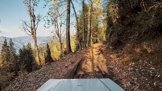 Uncut Meditative Forest Drive in Shimla - (4K)
We drove till the dead end of a beautiful forest in Shimla district.
Himalayan Roads is on Patreon! You can support us directly at http://www.patreon.com/himalayanroads
Find Himalayan Roads elsewhere on the internet
Facebook: https://www.facebook.com/himalayanroads
Google+: https://plus.google.com/+himalayanroads/
Twitter: http://twitter.com/himalayanroads
YouTube: http://youtube.com/himalayanroads
Support : http://www.patreon.com/himalayanroads
Website - www.himalayanroads.com Uncut Meditative Forest Drive in Shimla - (4K)