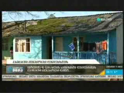 მამუკა ცოტნიაშვილის კომენტარი - საქმიანი დილა