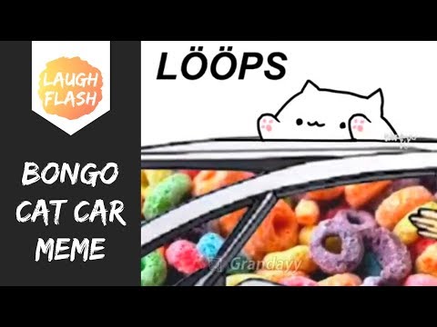 bongo-cat-car-meme-😂😂☠️-may-i-have-some-loops-brother?-by-grandayyy