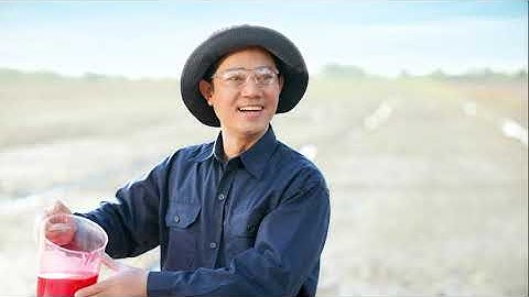 Quản lý lúa cỏ với Sofit 300EC phun 2 lần? cách làm như thế nào? | Thuốc trừ cỏ | Syngenta |