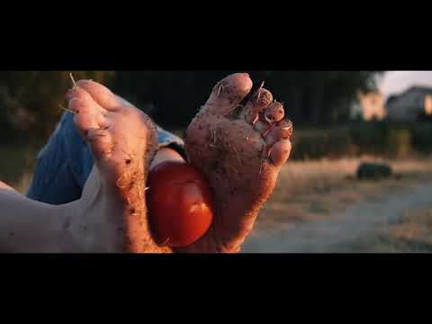 Squashing these TOEmatos!