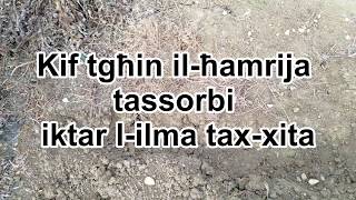 Kif tgħin il-ħamrija tassorbi iktar l-ilma tax-xita
