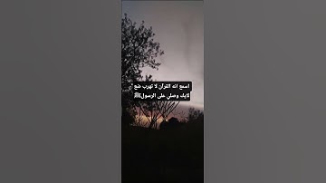 تلاوة بصوت القارئ عمر بن ضياء الدين #اكسبلور #لايك