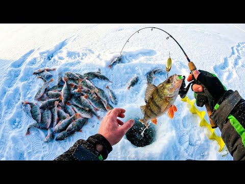 Скоростная ловля окуня: Мормышка и блесна в деле. Спортивная рыбалка на озере.