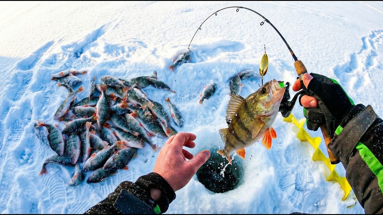 Скоростная ловля окуня: Мормышка и блесна в деле. Спортивная рыбалка на озере.