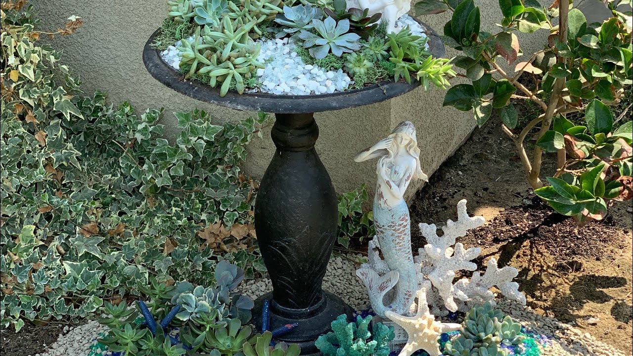 Succulent Ocean Inspired Tapestry Phase 1 / Succulent Birdbath Arrangement / 99cent Store Succulents