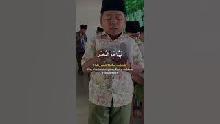 Anak Kecil Pintar sholawat Hayyul Hadi Cover & Lirik
