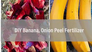 DIY Banana Onion Peel Fertilizer