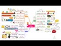 احفظ سورة القلم بالخرائط الذهنية بالتكرار ومع التدبر 2