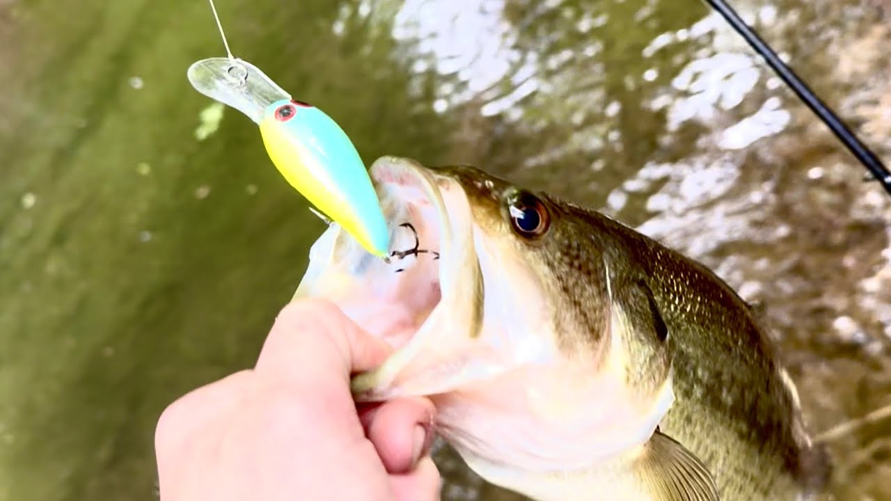 How to Catch Bass on Crankbaits!
