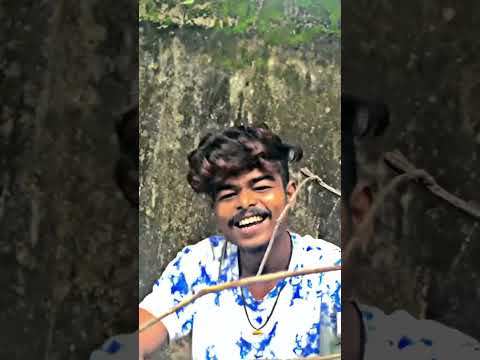 Sambalpurisong Vairalvideo Keepsupporting Sambalpurishot Singar Umakantgumsumofficial7677 