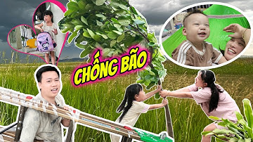 Đón MiMi Đi Học Về Tránh Bão Số 3 Wipha, Mẹ Huế, Bố Hoàng Chống Bão Như Thế Nào?