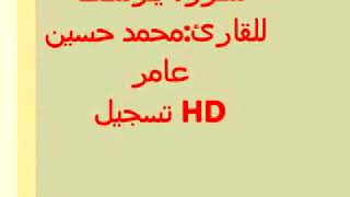 محمد حسين عامر (سورة يوسف)