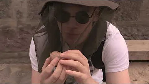 ben in a bush