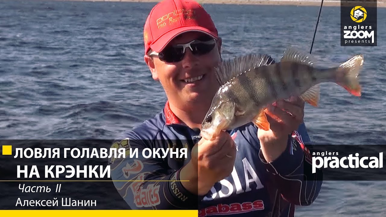 Алексей Шанин Новое Видео 2022 Года Алексей Шанин Новое Видео 2022 Года