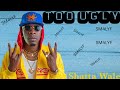 Shatta Wale Too Ugly Lyrics Video mp3