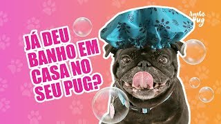 Como dar banho no seu cachorro em casa? | Amigo Pug