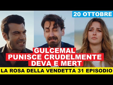 La rosa della