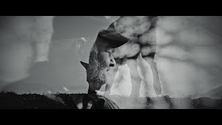 Enisum - Night Forest