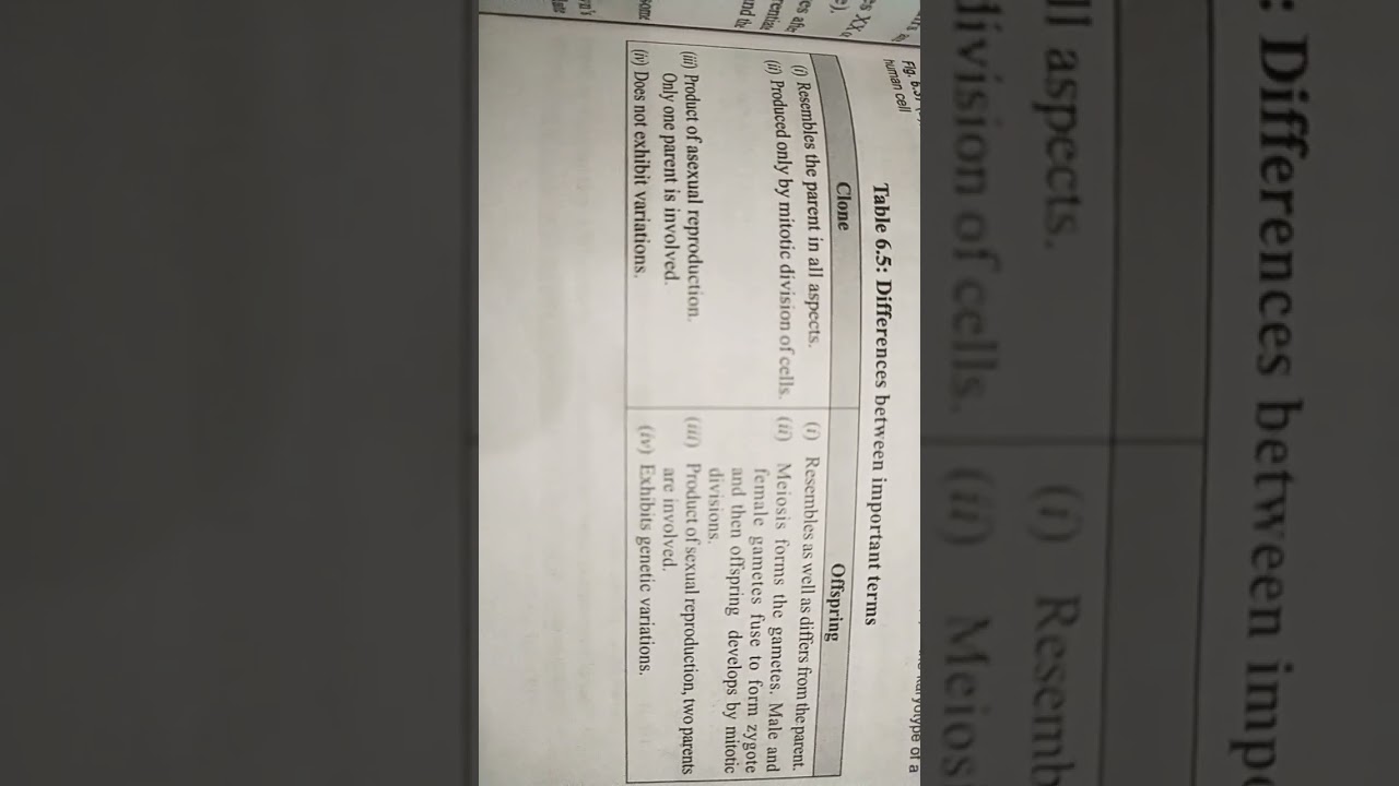 Difference between clone and offspring 